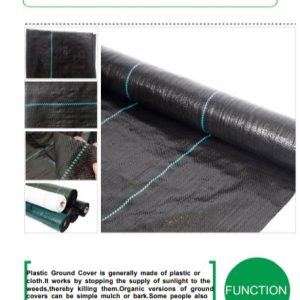 circular-looms-ground-cover