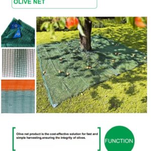 olive-net
